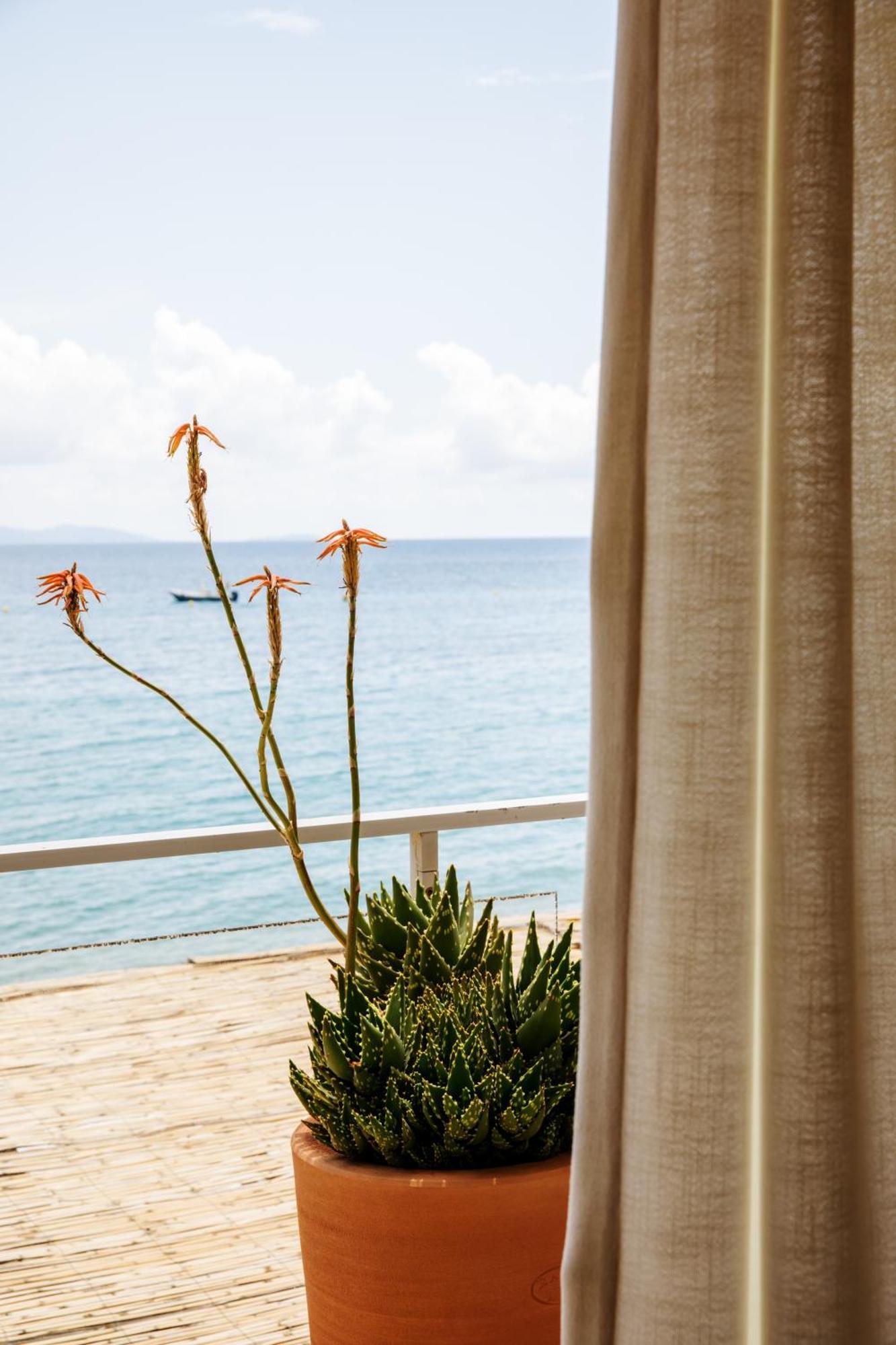 Hotel Le Bailli De Suffren Le Le Rayol-Canadel-sur-Mer Exteriér fotografie